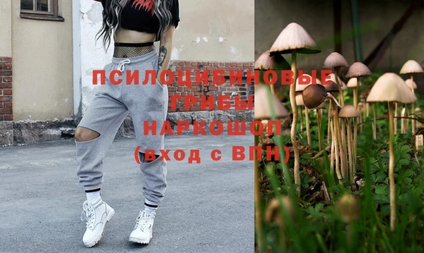 прущий лед Алзамай