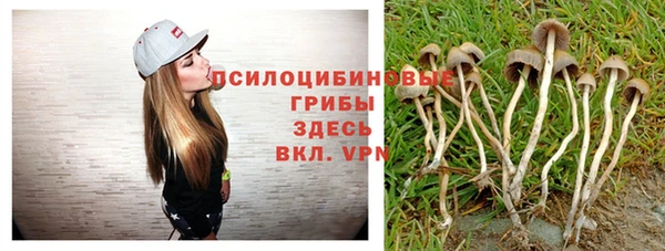 прущий лед Алзамай